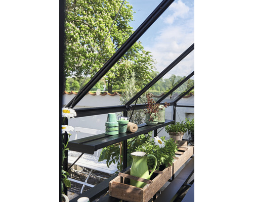 Vedere interioară a unei sere cu rafturi cu plante și decorațiuni