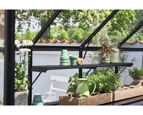 Interior de seră cu rafturi, ghivece și plante