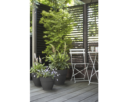 Spațiu exterior amenajat cu plante în ghivece, o masă de grădină și un scaun în fața unui paravan de intimitate