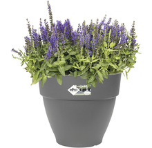 Ghiveci Elho Vibia Campana plastic Ø 40 cm H 33,4 cm antracit