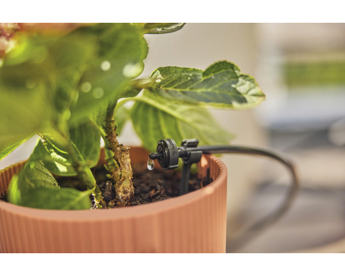 Irigare prin picurare în ghiveci pentru irigarea grădinii