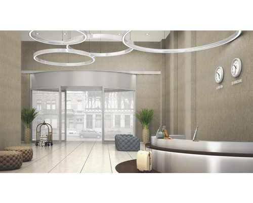 Hol de recepție luminoasă cu ușă rotativă, recepție și corpuri de iluminat rotunde de tavan