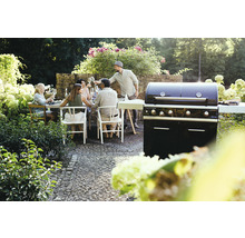 O petrecere cu grătar în grădină cu un grătar pe gaz și un grup de oameni așezați la o masă.