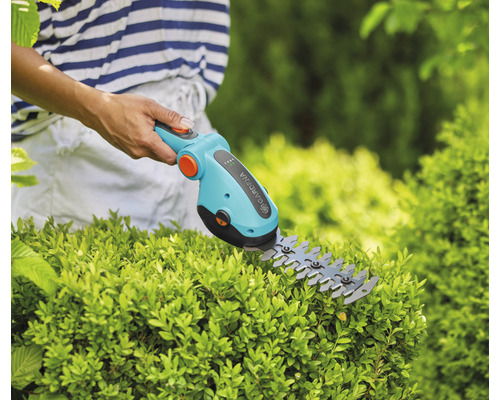 Foarfece de grădină utilizat pe un gard viu