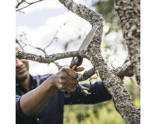 Bărbat taie ramura cu fierăstrău de ramuri