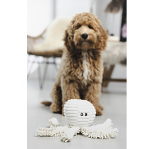 Câine cu caracatiță de jucărie