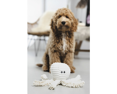 Câine cu caracatiță de jucărie