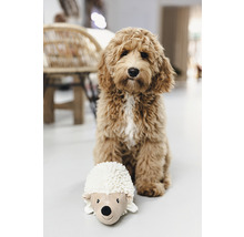 Un câine stă lângă un arici de pluș pe podea.