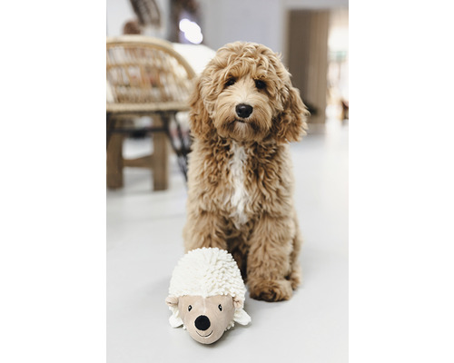 Un câine stă lângă un arici de pluș pe podea.