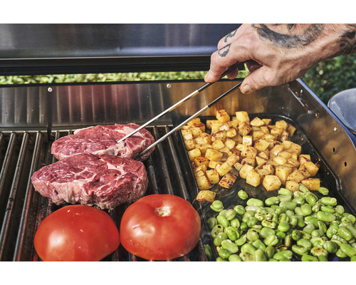 Grătar cu fripturi, roșii, cartofi prăjiți și fasole verde