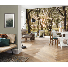 Cameră de zi cu fototapet cu o pădure, canapea, fotoliu, masă și parchet