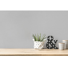Natură statică decorativă cu plantă de apartament, ampersand decorativ și recipiente pe o masă din lemn