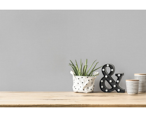 Natură statică decorativă cu plantă de apartament, ampersand decorativ și recipiente pe o masă din lemn