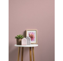 Scenă decorativă cu plantă la ghiveci, ramă foto și decorațiuni pentru casă pe o masă în fața unui perete.