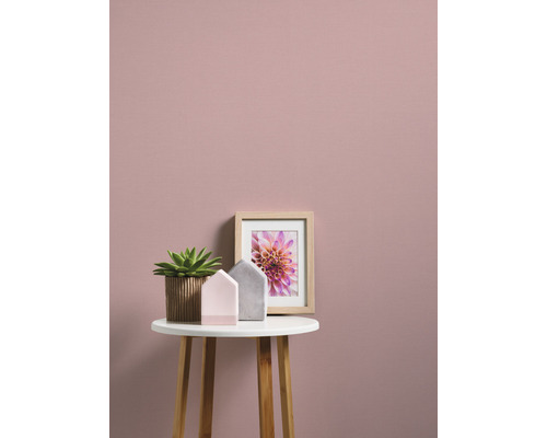 Scenă decorativă cu plantă la ghiveci, ramă foto și decorațiuni pentru casă pe o masă în fața unui perete.