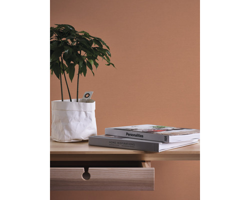 Scenă decorativă cu plantă de interior într-o pungă de hârtie albă, două cărți și o masă de lemn cu sertar deschis