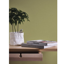 Natură statică decorativă cu plantă de interior, cărți și o masă cu sertar