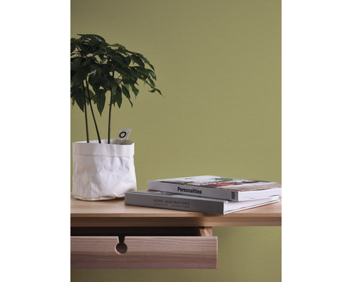 Natură statică decorativă cu plantă de interior, cărți și o masă cu sertar