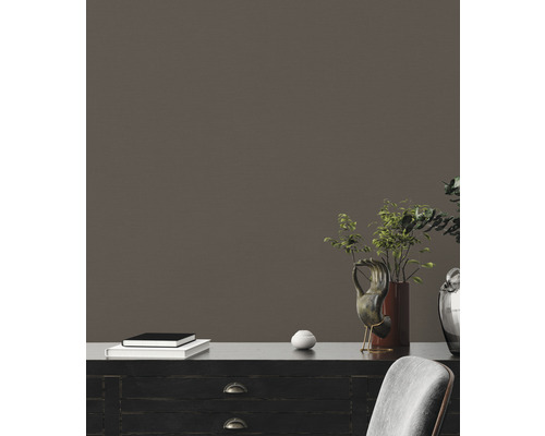 Interior decorativ cu un dulap negru, plante, obiecte de artă și un teanc de cărți