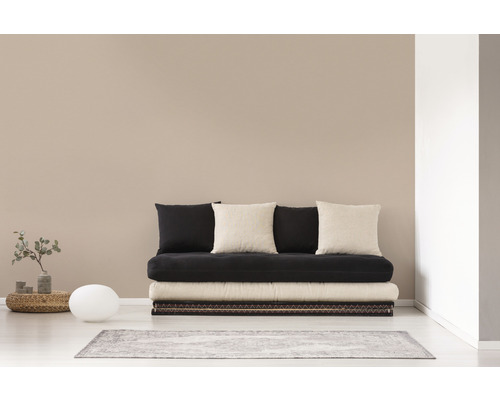 Futon cu perne pe un covor într-un living