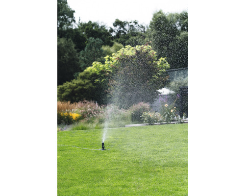 Scenă de grădină cu aspersor de gazon care irigă o zonă verde