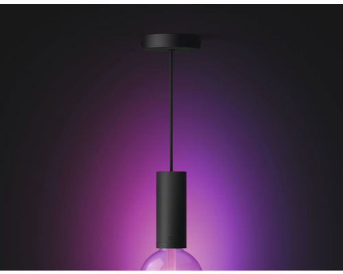 Lumină suspendată neagră cu bec