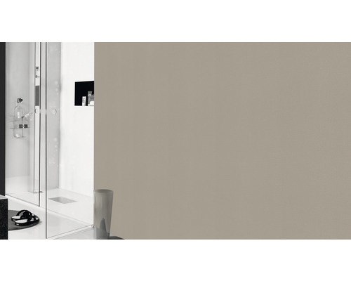 Baie cu duș și perete bej