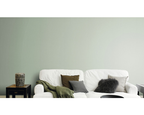 Living cu canapea, perne și vopsea de perete