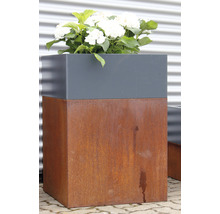 Jardinieră din oțel cu aspect ruginit și plante