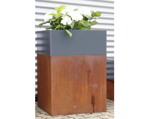 Jardinieră din oțel cu aspect ruginit și plante