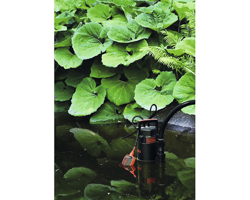 Logo Black and Decker. Pompă submersibilă în iaz cu plante