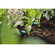 Picurător intermediar Gardena 0-20l/h racord 3/16", plastic negru