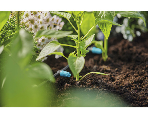 Sistem de irigare în grădină cu plante