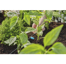 Picurător intermediar Gardena 0-20l/h racord 3/16", plastic negru