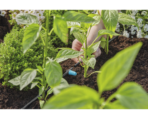 Instalarea unui sistem de irigare pentru plante într-o grădină