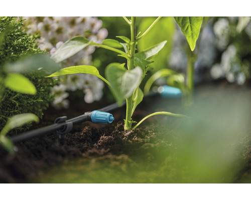 Sistem de irigare prin picurare în grădină cu plante și flori