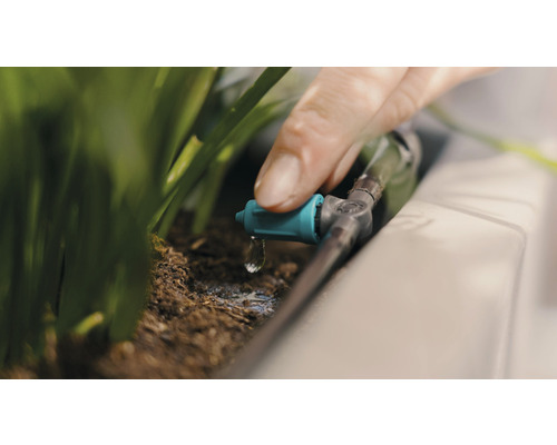 Irigare prin picurare utilizată pentru udarea plantelor