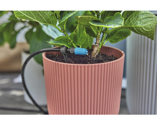 Prim-plan cu o plantă la ghiveci cu sistem de irigare pentru plante de interior