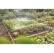 Grădină de legume cu sistem de irigare pentru plante
