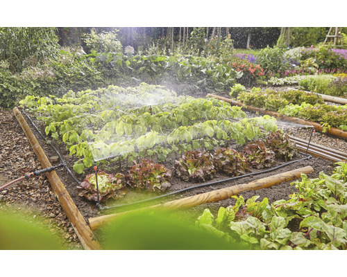 Grădină de legume cu sistem de irigare pentru plante