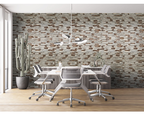 Spațiu de birouri cu tapet de piatră, masă de conferințe și cactus în ghiveci.
