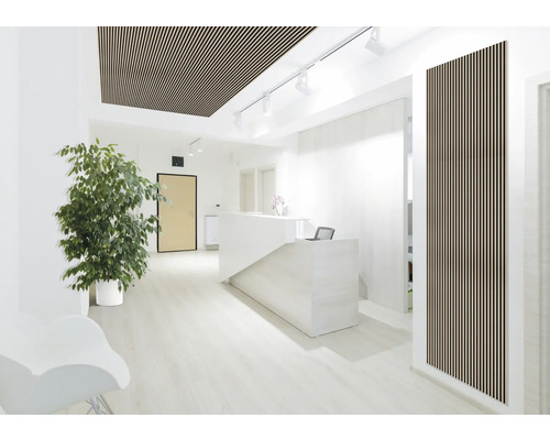 Zonă de recepție luminoasă cu panouri din lemn pe tavan și perete, birou de recepție și plantă de birou