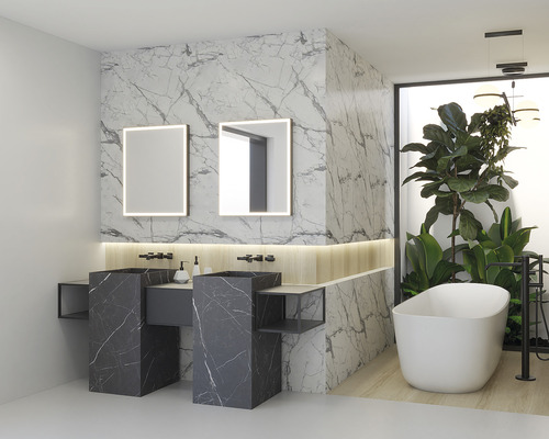 Baie cu chiuvetă dublă, oglinzi, cadă și plante