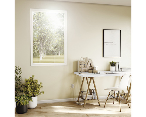 Birou cu birou, scaun, plante de interior și fereastră cu vedere la o grădină.