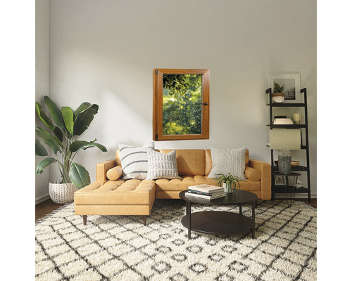 Cameră de zi cu canapea, fereastră, covor și raft