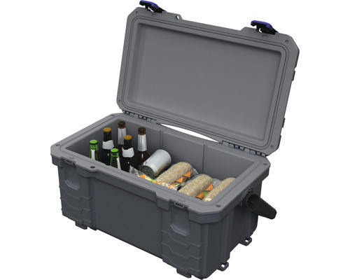 Ladă frigorifică Industrial Lunchbox 29L, tip cutie de | HORNBACH