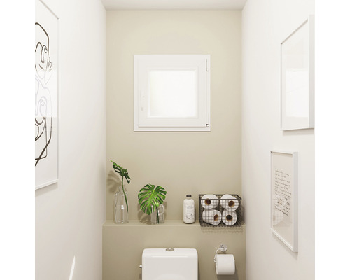 Baie cu toaletă, fereastră și decorațiuni