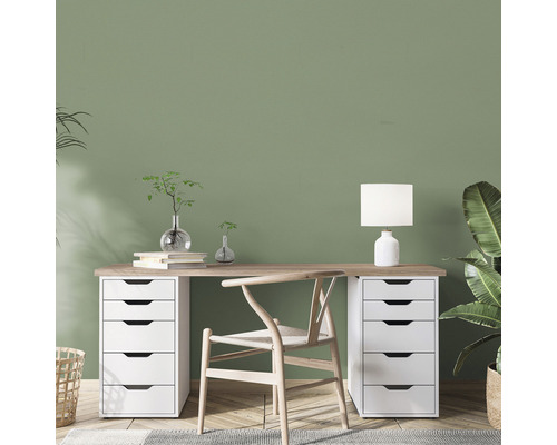 Spațiu de lucru modern cu birou, scaun și plante de interior