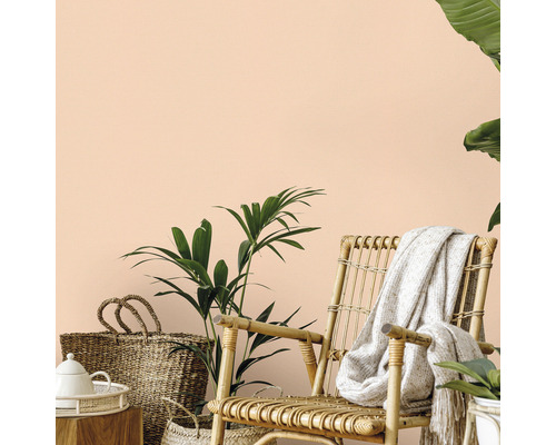 Mediu de locuit decorativ cu fotoliu din ratan și plante de apartament în fața unui perete