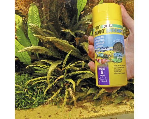 Hrană pentru creveți JBL Novo Shrimp, ambalaj în fața acvariului